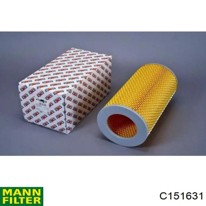 Filtr powietrza Mann-Filter C151631 cena, od 15,50 USD