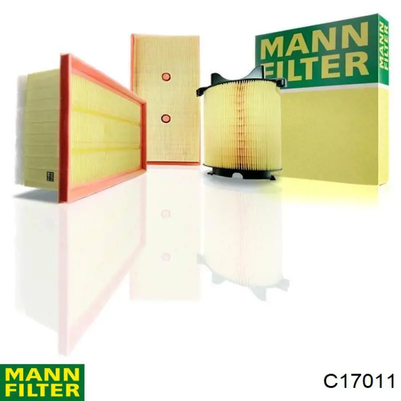 Filtr powietrza Mann-Filter C17011 cena, od 34,82 USD