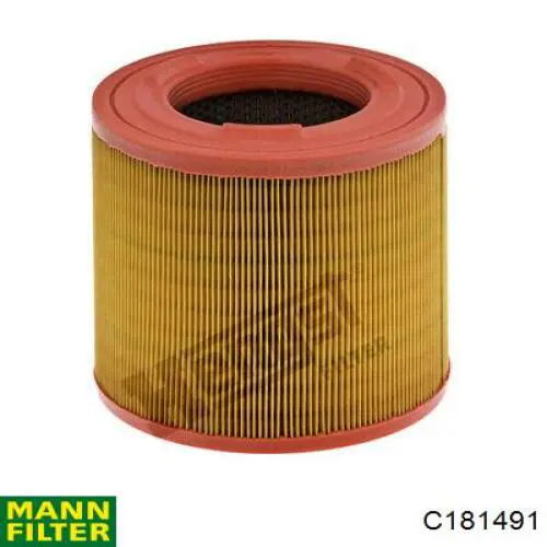 Filtr powietrza Mann-Filter C181491 cena, od 19,53 USD
