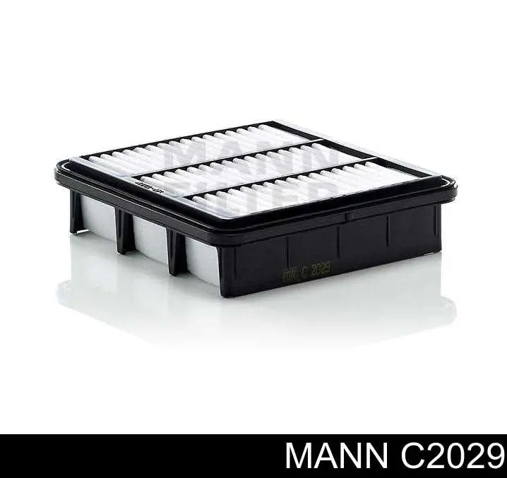 Filtr powietrza Mann-Filter C2029 cena, od 7,79 USD