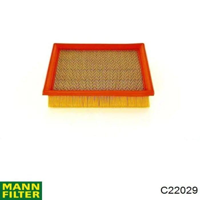 C22029 Mann-Filter Filtr powietrza