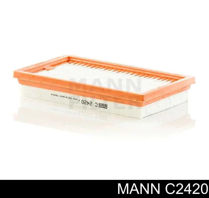 Do koszyka C2420 Mann-Filter Filtr powietrza