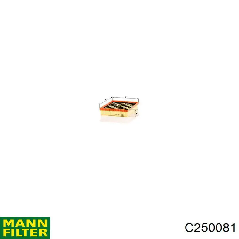 C250081 Mann-Filter Filtr powietrza