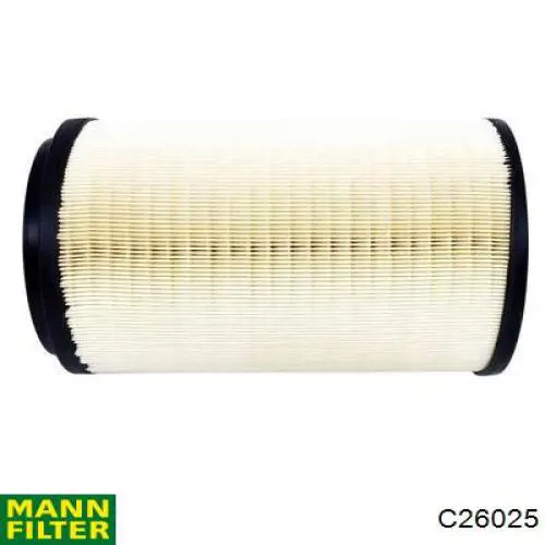 Do koszyka C26025 Mann-Filter Filtr powietrza
