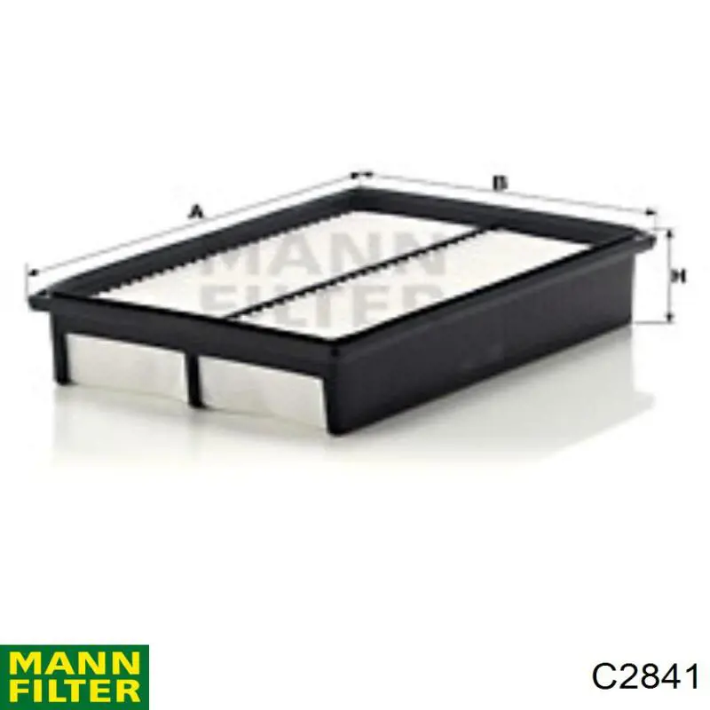 Do koszyka C2841 Mann-Filter Filtr powietrza