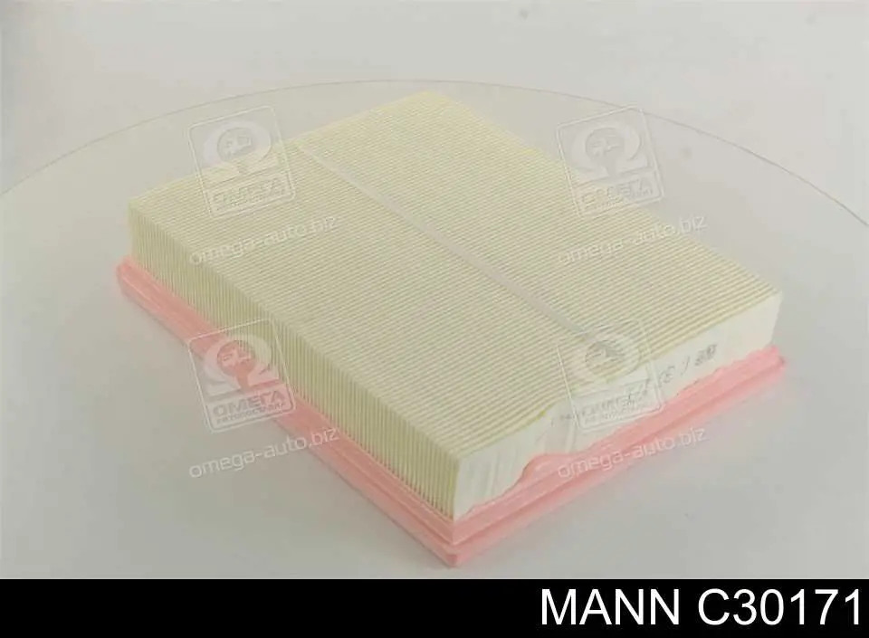 Filtr powietrza Mann-Filter C30171 cena, od 12,60 USD