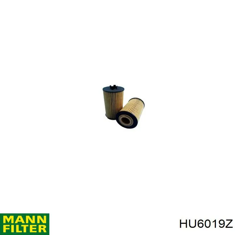 Filtr oleju Mann-Filter HU6019Z cena, od 21,78 USD