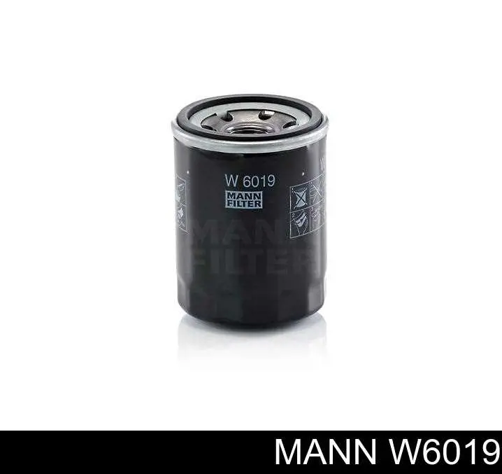Filtr oleju Mann-Filter W6019 cena, od 8,98 USD