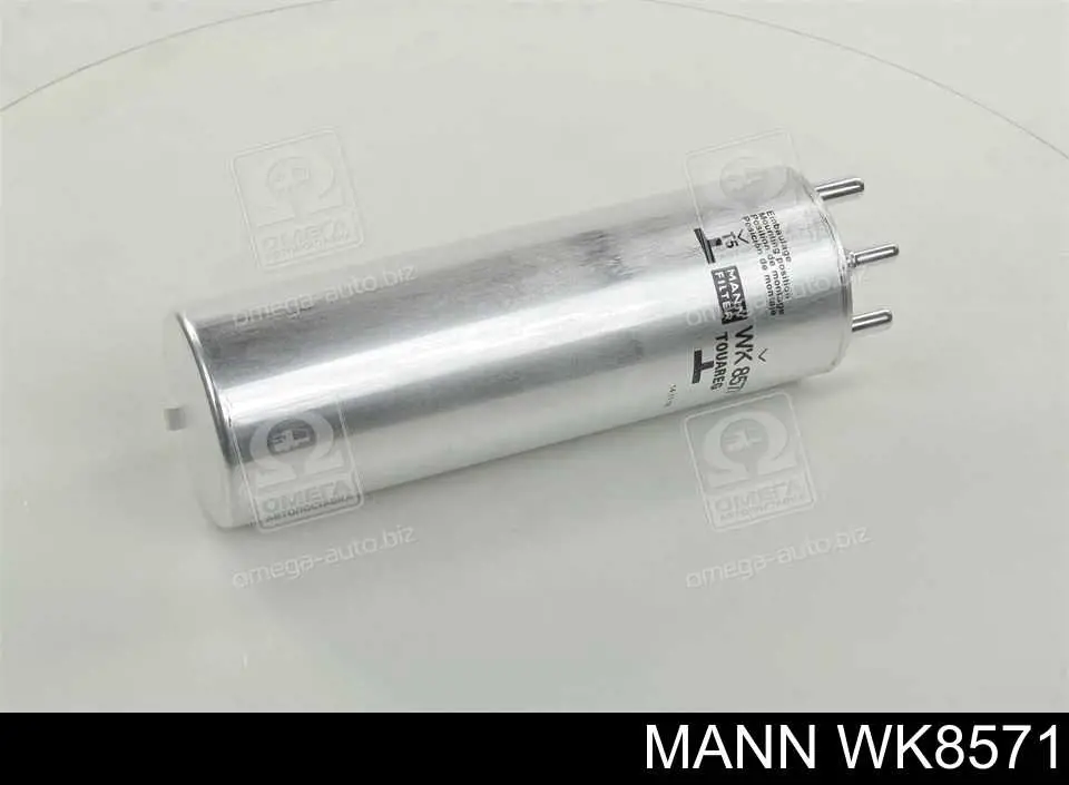 Filtr paliwa Mann-Filter WK8571 cena, od 38,10 USD