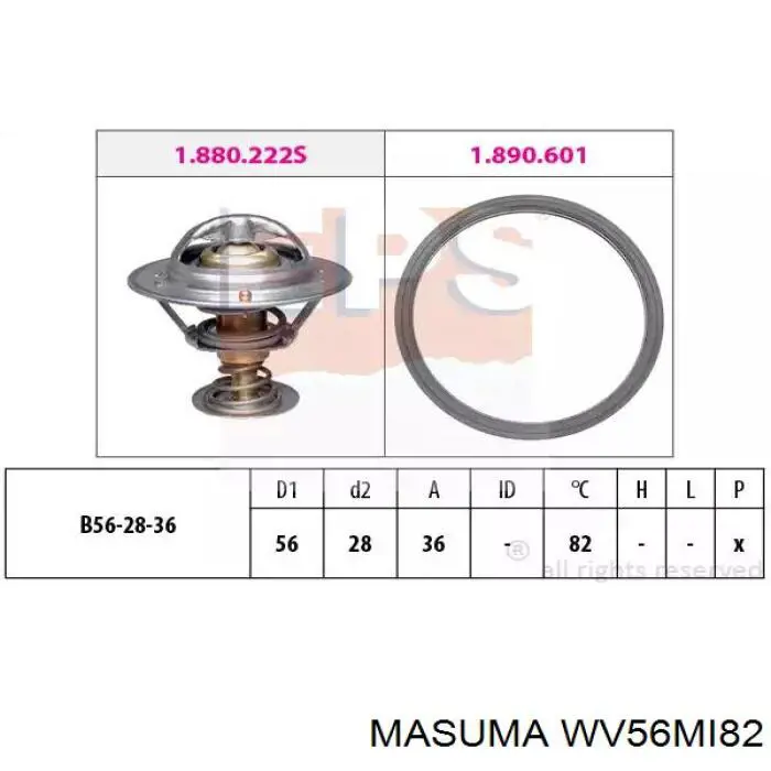 Termostat WV56MI82 Masuma