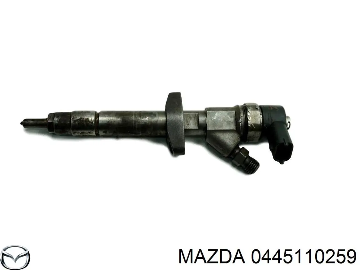 13537804978 BMW Wtryskiwacz paliwa