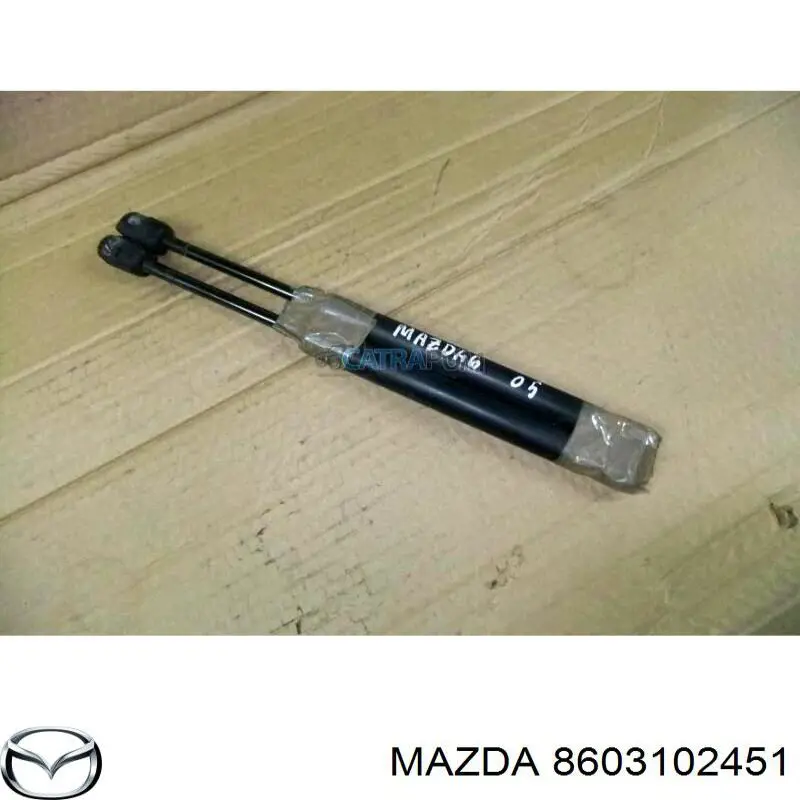Pompka spryskiwacza szyby przedniej 8603102451 Mazda