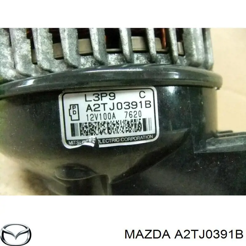 A2TJ0391B Mazda Alternator