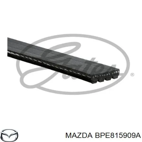 Pas napędowy mechanizmów BPE815909A Mazda