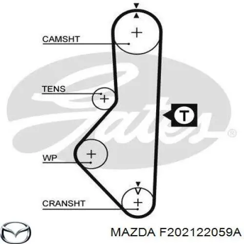 Do koszyka F202122059A Mazda Pasek rozrządu