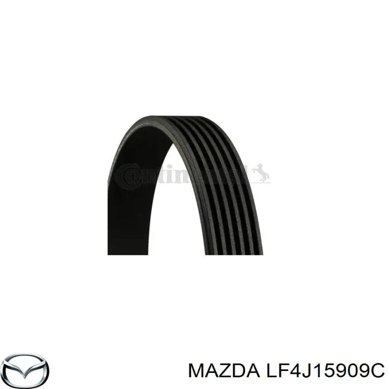 Pas napędowy mechanizmów Mazda LF4J15909C cena, od 23,84 USD