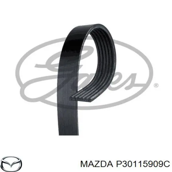 Pas napędowy mechanizmów Mazda P30115909C cena, od 11,42 USD