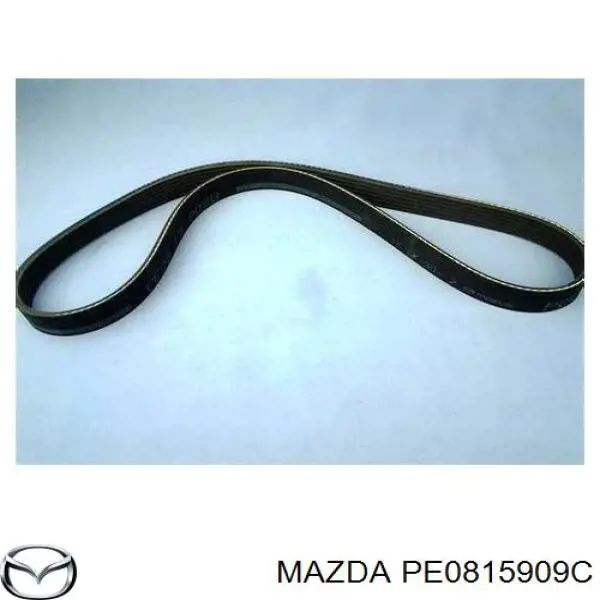 Do koszyka PE0815909C Mazda Pas napędowy mechanizmów