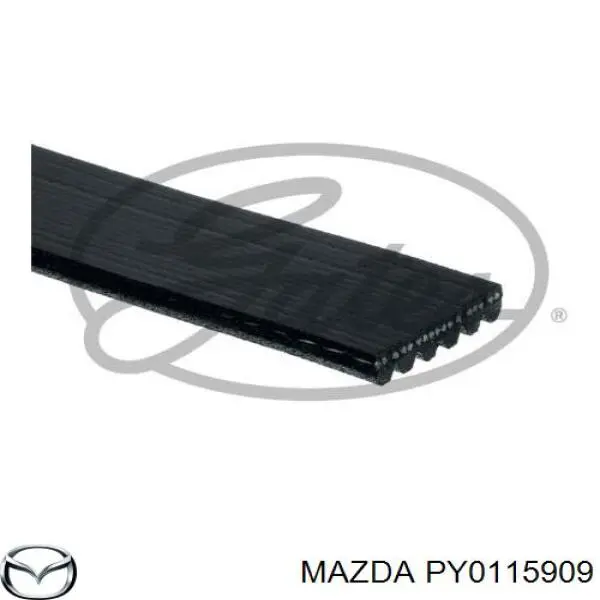 PY0115909 Mazda Pas napędowy mechanizmów
