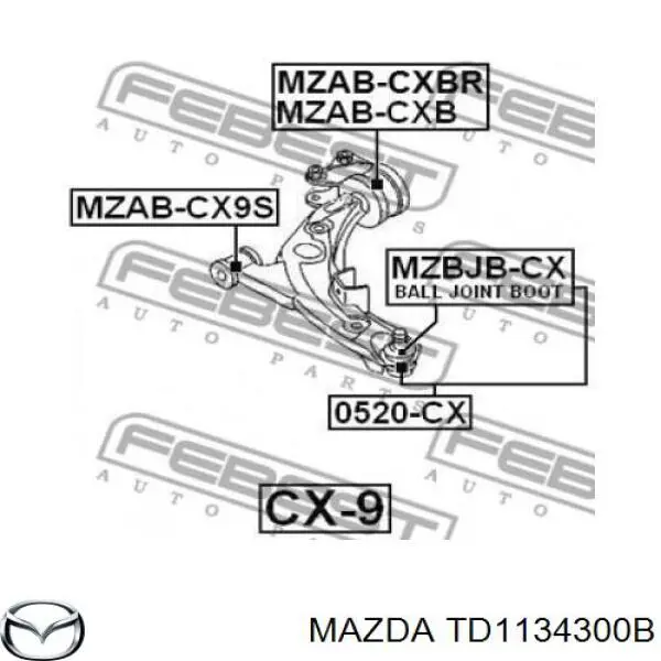 Do koszyka TD1134300B Mazda Wahacz zawieszenia przedniego dolny prawy
