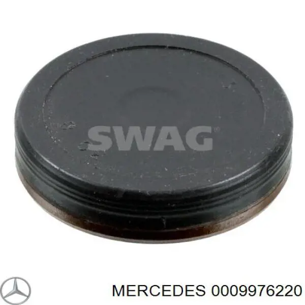 0009976220 Mercedes Zaślepka głowicy cylindrów/bloku cylindrów