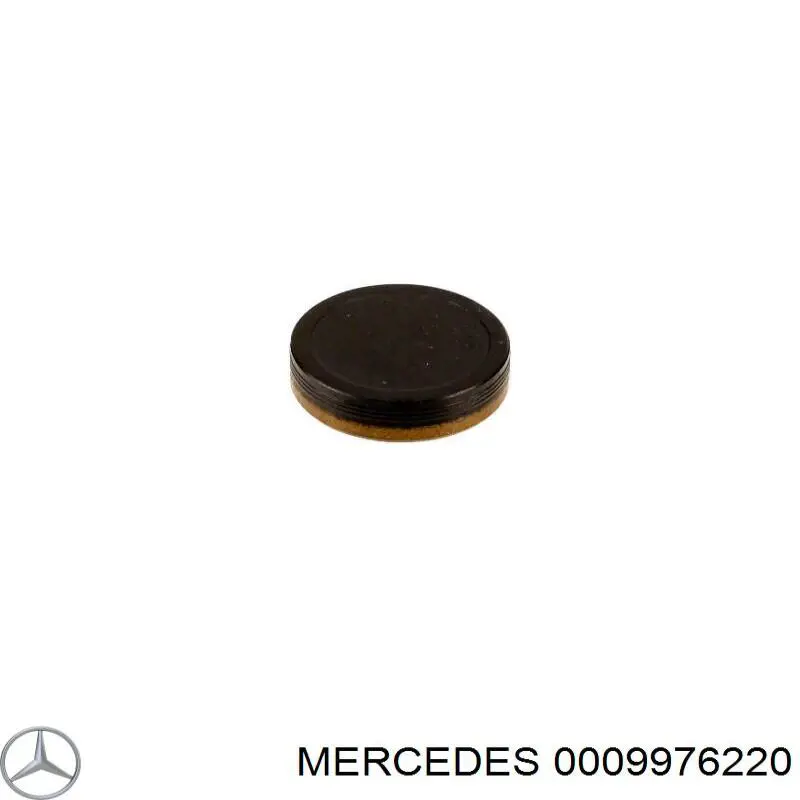 Zaślepka głowicy cylindrów/bloku cylindrów Mercedes 0009976220 cena, od 5,17 USD