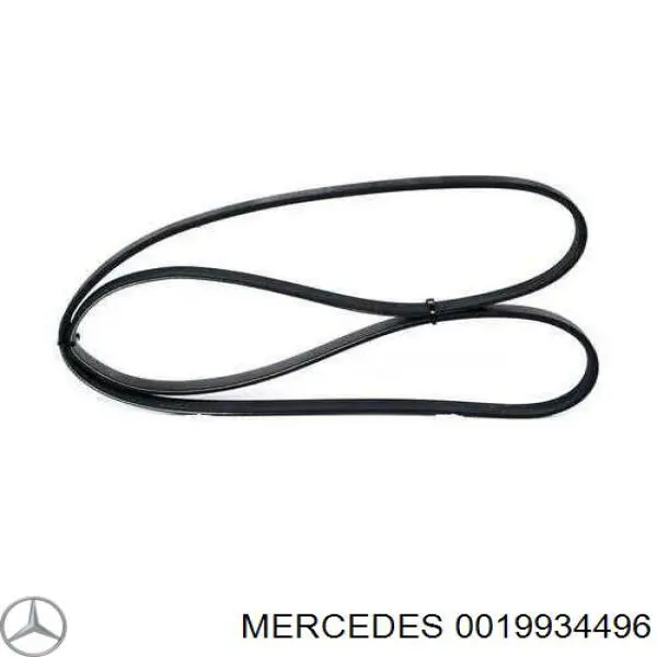 Do koszyka 0019934496 Mercedes Pas napędowy mechanizmów