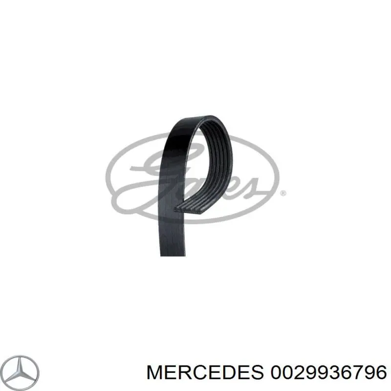 0029936796 Mercedes pas napędowy mechanizmów