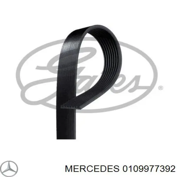 0109977392 Mercedes pas napędowy mechanizmów