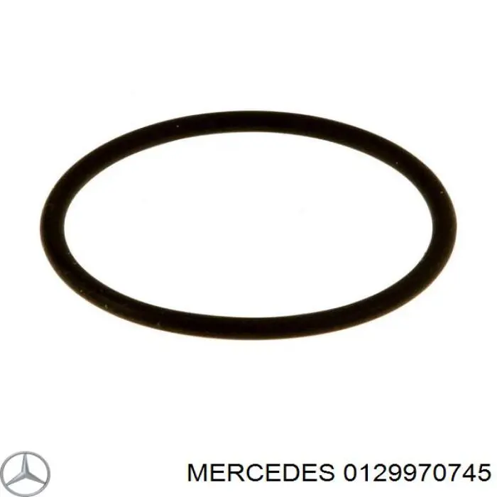Uszczelka pompy wtryskowej Iveco 42549209