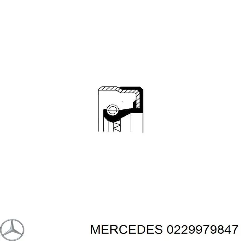 Do koszyka 0229979847 Mercedes Uszczelniacz półosi mostu tylnego wewnętrzny