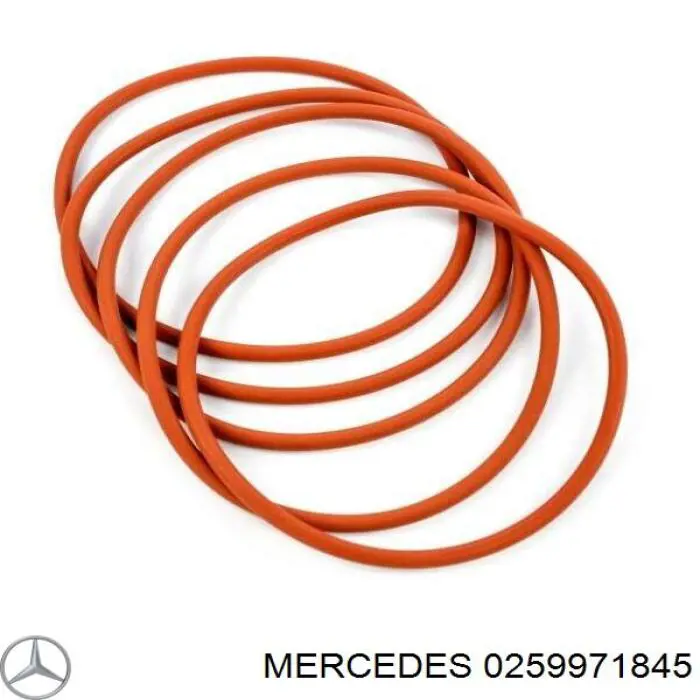 Uszczelniacz pompy paliwa do Mercedes E (W212)