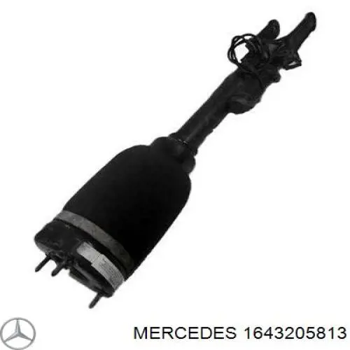 Amortyzator przedni Mercedes 1643205813 cena, od 402,63 USD