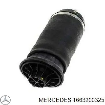Poduszka pneumatyczna (resor pneumatyczny) mostu tylnego Mercedes 1663200325 cena, od 109,57 USD