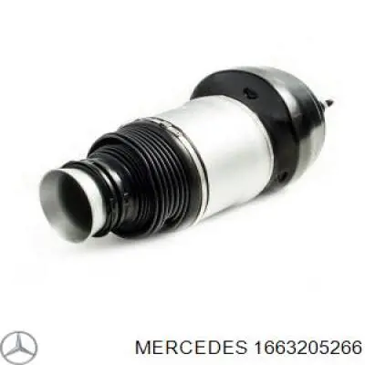 Amortyzator przedni prawy Mercedes 1663205266 cena, od 255,16 USD