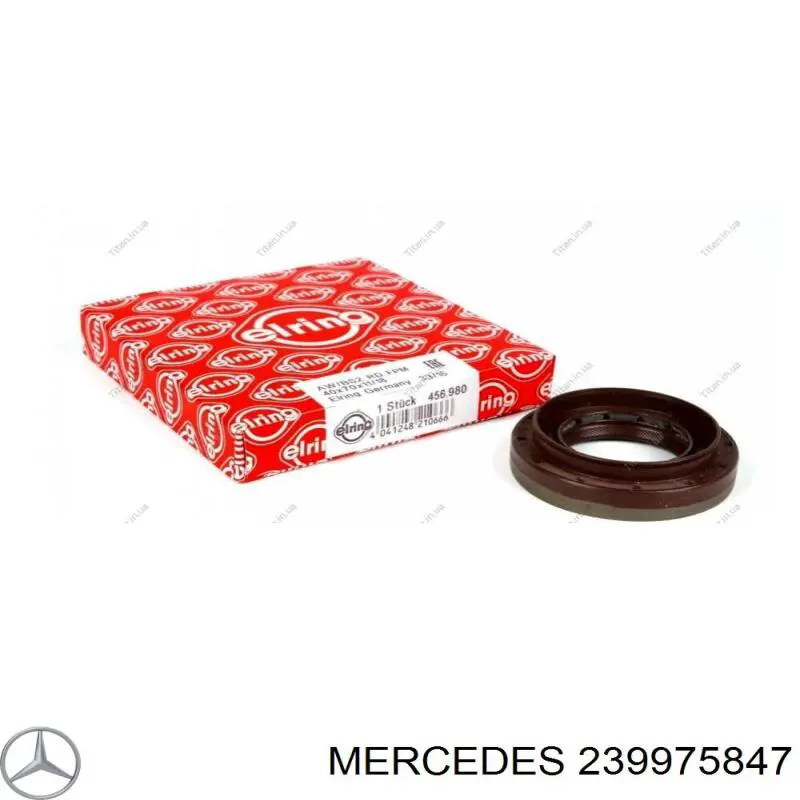 Do koszyka 239975847 Mercedes Uszczelniacz końcówki reduktora mostu tylnego