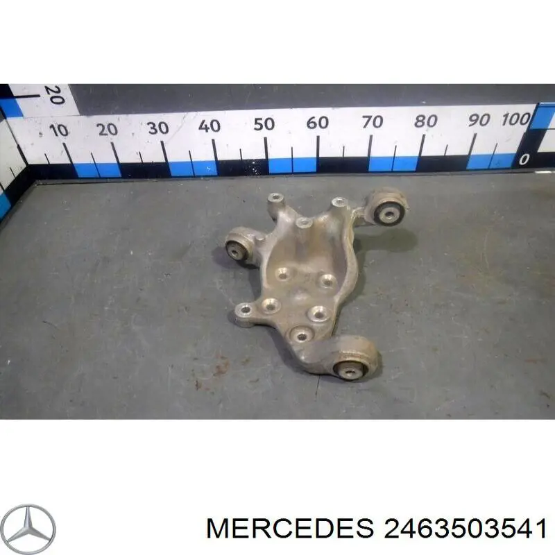 2463503541 Mercedes Czop (zwortnica) tylny lewy