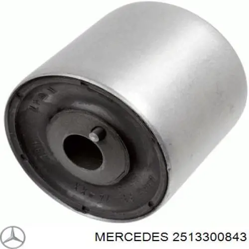 2513300843 Mercedes Silentblock przedniego wahacza dolnego