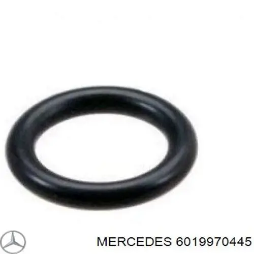 6019970445 Mercedes Uszczelka pierścieniowa rurki paliwowej