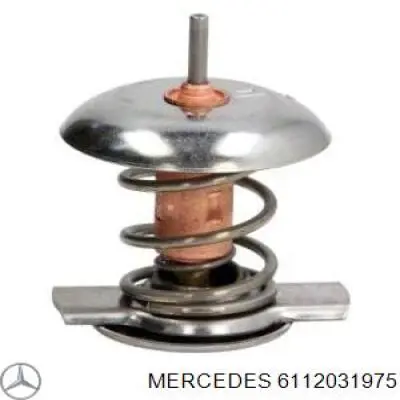 6112031975 Mercedes Termostat