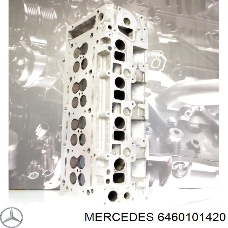 6460101420 Mercedes Głowica cylindrów