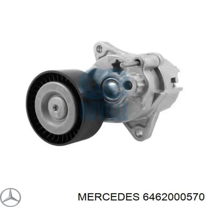 Do koszyka 6462000570 Mercedes Napinacz paska napędowego