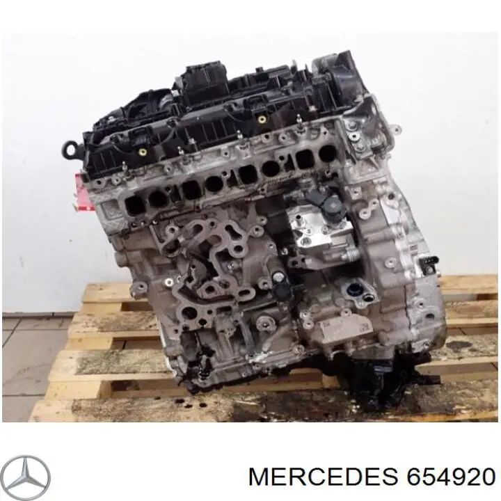 Silnik w komplecie 654920 Mercedes