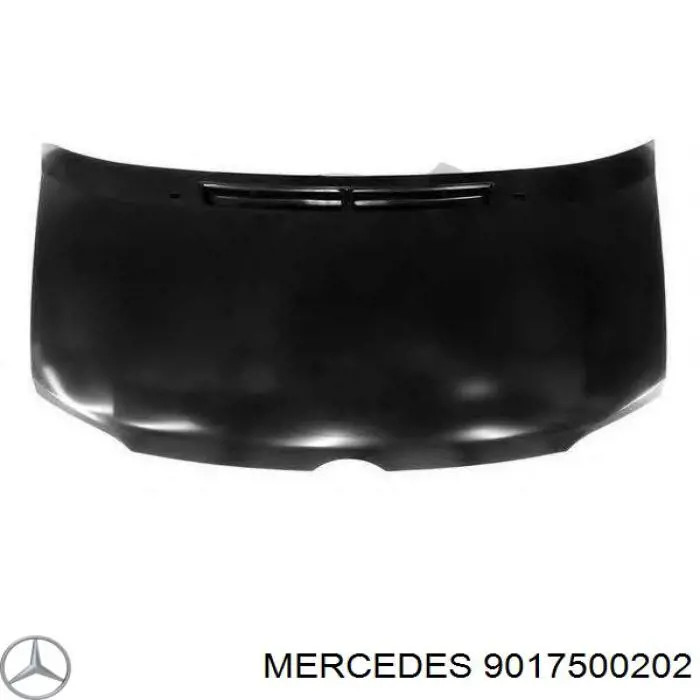 9017500202 Mercedes Maska silnika