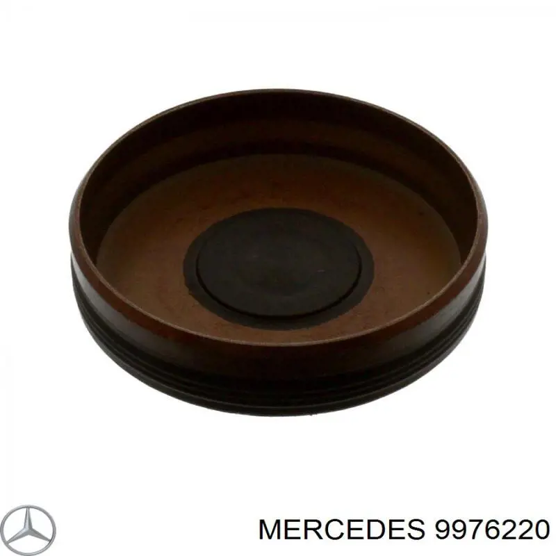 Zaślepka głowicy cylindrów/bloku cylindrów Mercedes 9976220 cena, od 5,03 USD