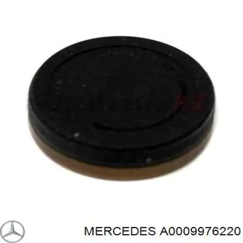 Zaślepka głowicy cylindrów/bloku cylindrów Mercedes A0009976220 cena, od 5,17 USD