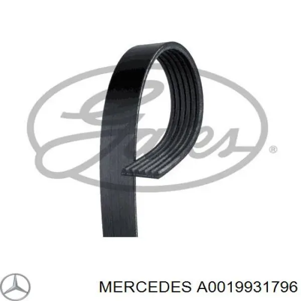 A0019931796 Mercedes Pas napędowy mechanizmów