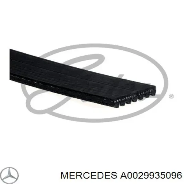 Pas napędowy mechanizmów Mercedes A0029935096 cena, od 24,89 USD