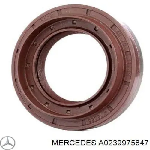 A0239975847 Mercedes Uszczelniacz końcówki reduktora mostu tylnego