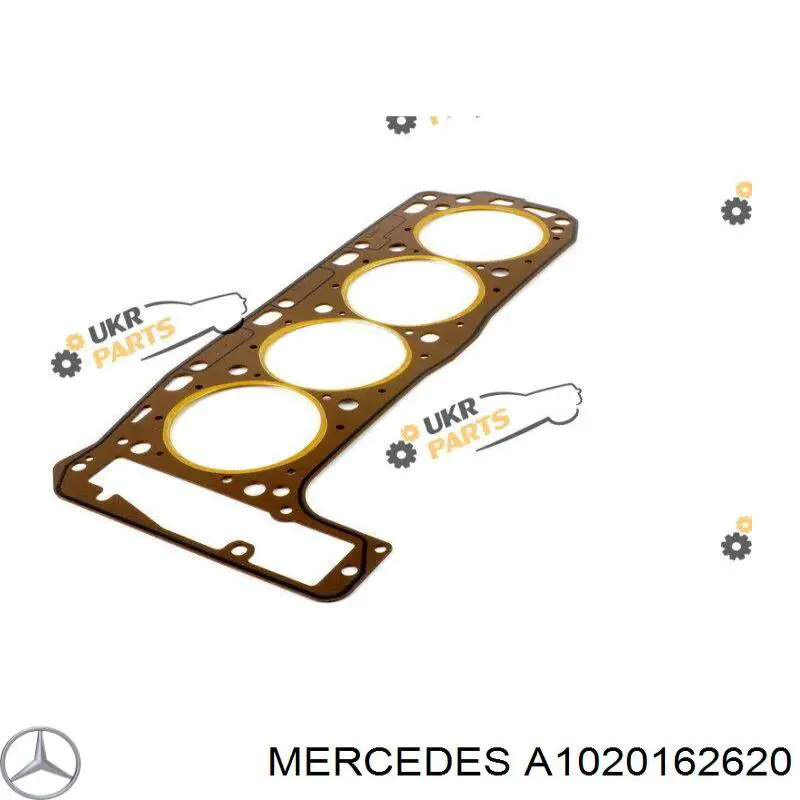 Do koszyka A1020162620 Mercedes Uszczelka głowicy cylindrów